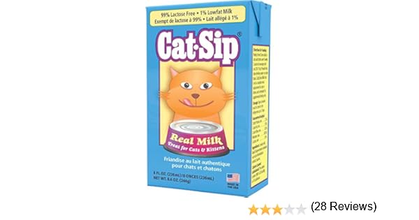 cat sip real milk