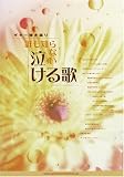 ギター弾き語り 誰も知らない泣ける歌