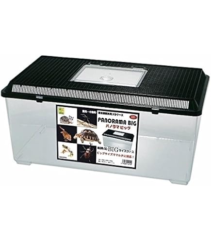 Amazon | QBOX 20[コンテナボックス] | QBOX | テラリウム・セサリー 通販