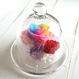 【母の日 ギフト】プリザーブドフラワー ギフト [レインボーローズ ポット] ガラス ポット グラス