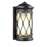 Feiss OL10900ABR 1-Light Outdoor Sconce [並行輸入品]