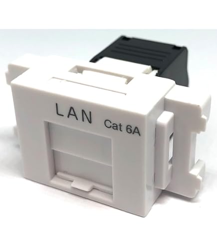 Amazon.co.jp: CAT 6A LANケーブル100m 100メートル 10ギガビット