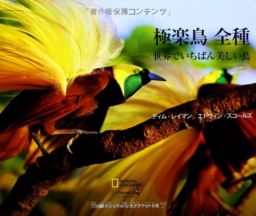 極楽鳥 全種 世界でいちばん美しい鳥 極楽鳥 全種 世界でいちばん美しい鳥