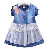vivisclassic 子供ドレス 女の子 ベビーワンピース　フォーマルドレス ワンピース デニム キッズドレス 長袖 膝上丈 かわいい おしゃれ通園 通学 春服 70cm～100cm (100cm