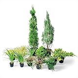 オンリーワン　目的で選ぶ　植栽セット　イージー　ウィッチタブルー　お手入れ簡単　YE6-SET02