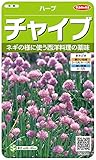 サカタのタネ 実咲ハーブ8078 チャイブ ハーブ 00928078