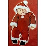 Fun World CostumesBaby Santa Costume Size 0-9 Months おもちゃ [並行輸入品]