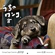 オレンジページ うちのワンコ。壁掛カレンダー2019 ([カレンダー])