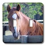 lsp _ 674 _ 2 Horse – Quarter Horse Mare – 照明スイッチカバー – ダブルトグルスイッチ