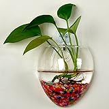 TOPmountain グラステラリウム 壁掛け 水耕 植物の花 花瓶 屋内コンテナ