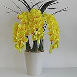 シンビジューム 光触媒 造花 鉢植え Sサイズ-3本立 下垂性 H65cm(黄-白鉢)