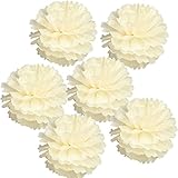 HG-X Set of 5 Tissue Pom Poms Party Decorations Paper Flowers for Weddings, Birthday Parties and Bab