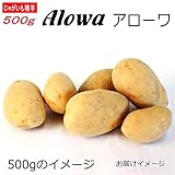 じゃがいも 種芋 アローワ 500g ジャガイモ