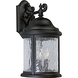 Progress Lighting P5650-31 3-Light Cast Aluminum Wall Lantern with Water-Seeded Glass, Textured Blac