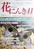 花にんき 41
