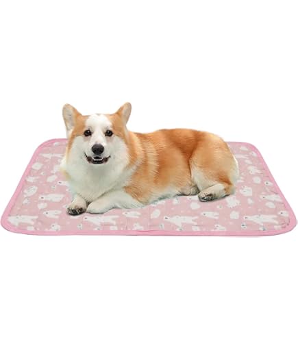 ⭐わんわんスベランEX スベリ止め Amazon | わんわんスベラン すべり止めWAX 200ml(約14平米