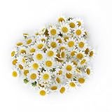 【ノーブランド品】造花 ひまわり 花部分のみ DIY　約100個 (白い)