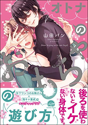 オトナのおもちゃの遊