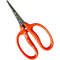 Amazon | 近正(CHIKAMASA) ステンレスフッ素加工ぶどう手入れ鋏L型 B
