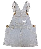 Buddy Lee 女児 ジャンパースカート サロペット デニム (81、ヒッコリー/100cm)