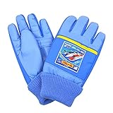 トミカ プラレール キッズ スキー手袋 防寒 雪用手袋 雪遊び 冬物 男の子 タカラトミー PLARAIL fo-gr1 5-6才 プラレール（水色）