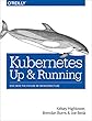 Kubernetes: Up and Running: Dive into the Future of Infrastructure