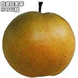 国華園　果樹苗　ナシ　なるみP　1株