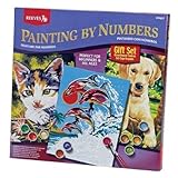 Reeves Painting By Numbers Gift Set [並行輸入品]