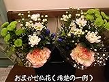 おまかせ仏花小 清楚 【生花】 １対（同種類の２束セット）35cm・45cm(￥1850)・2対(￥3700) お届けのご希望日時は注文日から 4～20営業日で必ずご指定ください。通常配送では日時指定