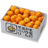 みかん 温州みかん 産地厳選 風のいたずら ちょっと訳あり 大きさおまかせ 4.5kg 蜜柑 ミカン ギフト お取り寄せ