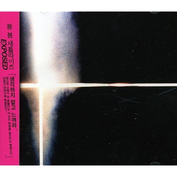 【新品・未開封】BOOM BOOM SATELLITES BOOM BOOM SATELLITES ラストライブ完全生産盤パッケージ公開