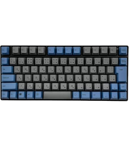 REALFORCE  R2-JP-KT-PL カラーキートップセット 紫 日本語 製品 : REALFORCE カラーキーキャップセット / R2-JP-KT
