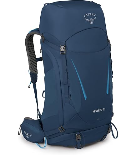 Amazon.co.jp: [オスプレー] バックパック リュックサック 48L 