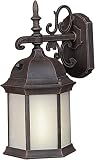 Forte Lighting 17008-01-28 Exterior Wall Light with Frosted Seeded Glass Shades, Painted Rust [並行輸入品