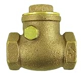 Aviditi 11504AVI Brass Swing Check Valve with Threaded End, 1-Inch IP by Aviditi