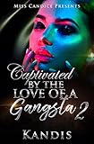 Captivated by the Love of a Gangsta 2 (English Edition)