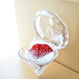 [florence du]プリザーブドフラワー ダイヤモンドケース入り カーネーション レッド