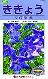 カネコ種苗 草花タネ211 ききょう 矮性 深山紫 10袋セット