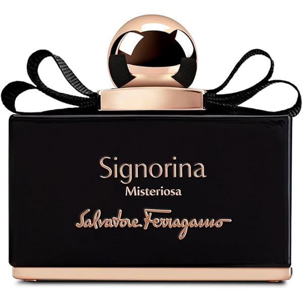 Amazon.co.jp: Salvatore Ferragamo(サルヴァトーレ フェラガモ