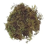 ヴェルモント プリザーブド モス ハーブグリーン 100g