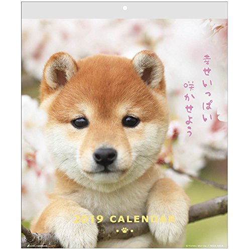 アクティブコーポレーション 2019年 犬 カレンダー 壁掛け DOGウォール ACL-01 (2019年 1月始まり)