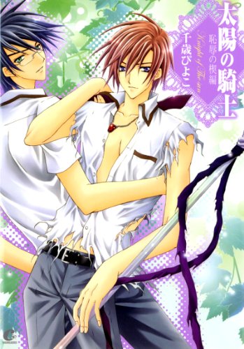 『太陽の騎士』