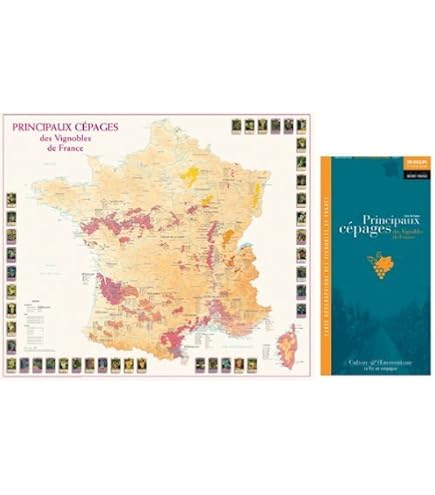 Amazon.co.jp: フランスワイン地図 ブルゴーニュ(コート・ド・ニュイ