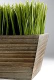 木製プランターボックス24 " Grass Centerpiece