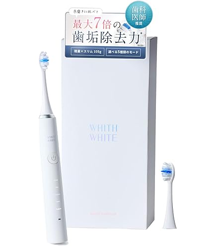 音波振動歯ブラシ プロソニック 音波振動歯ブラシ プロソニックエックス 専用 替え