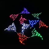 電光ホーム イルミネーション ネットライト フラッグ 5m