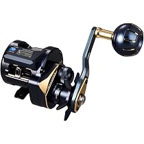 Amazon | ダイワ(DAIWA) ソルトベイトリール 25SALTIGA IC 100HL-C
