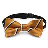 MHA　子供用 ストライプ蝶ネクタイ　20052 C.マスタード