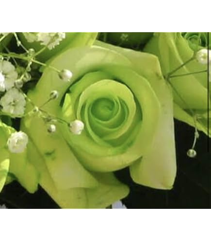 11本グリーンバラブーケ　プレゼント お祝い 枯れない花 永生薔薇　特別な人へ Amazon.co.jp: 11本グリーンバラブーケ フラワー プレゼント お祝い