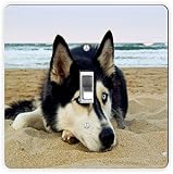Siberian Husky onビーチSquare – ライトスイッチPlat RK-LSPS-405